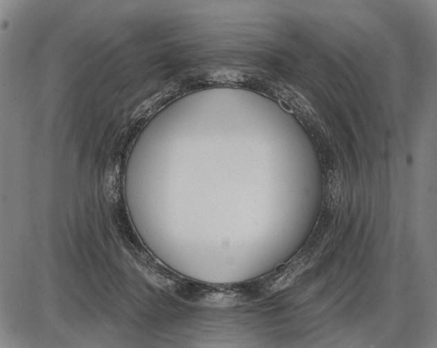 X0000085000364200703261135