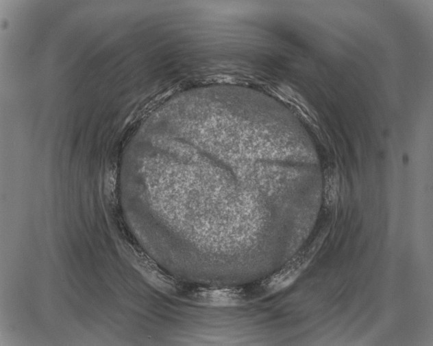 X0000085000365200703261135