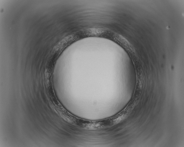 X0000085000366200703261135