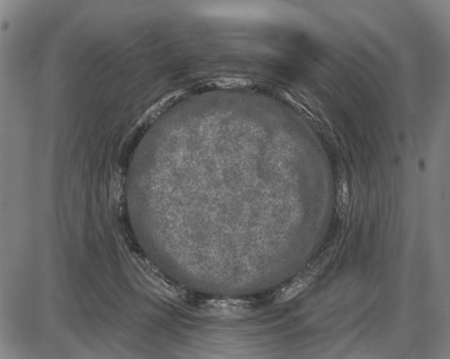 X0000085000367200703261135