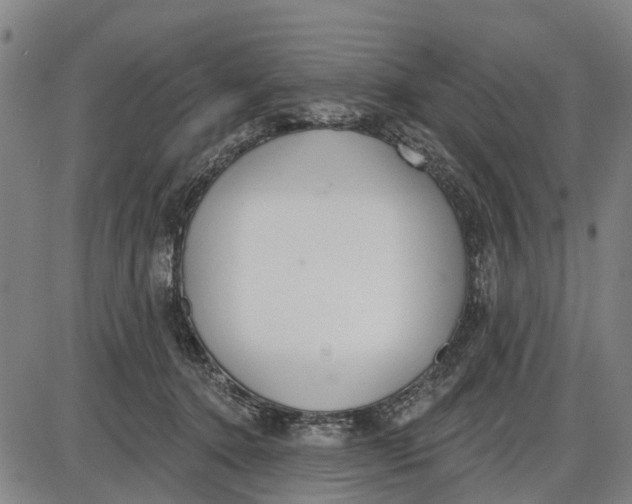 X0000085000368200703261135