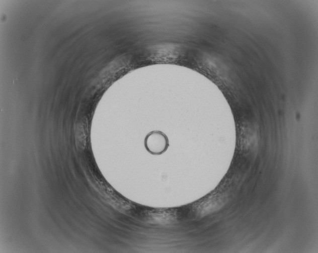 X0000085000370200703261135