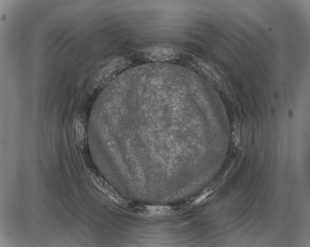 X0000085000371200703261135