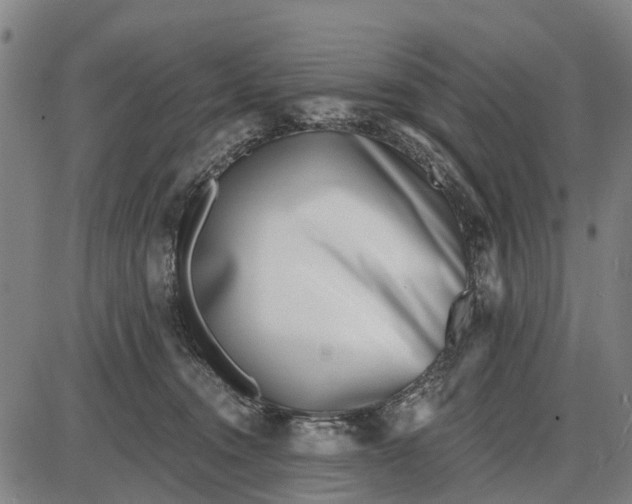 X0000085000372200703261135