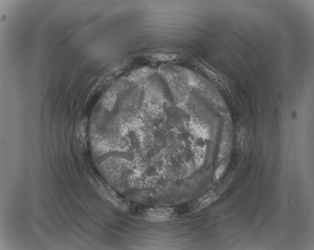 X0000085000373200703261135