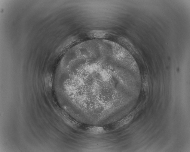 X0000085000374200703261135