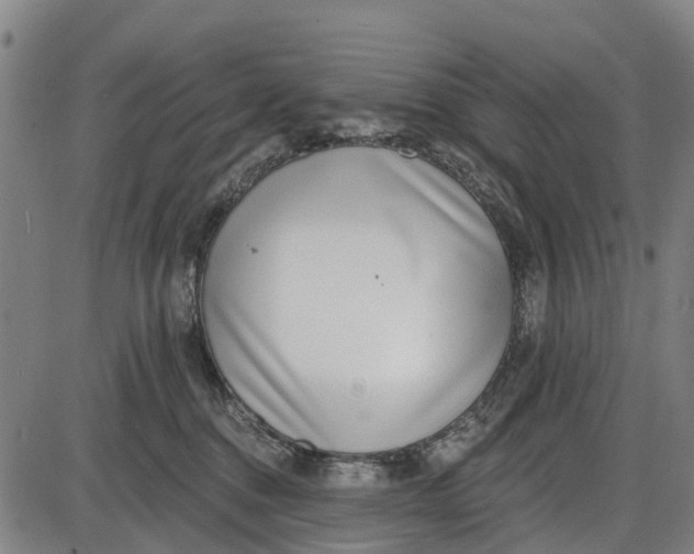 X0000085000376200703261135