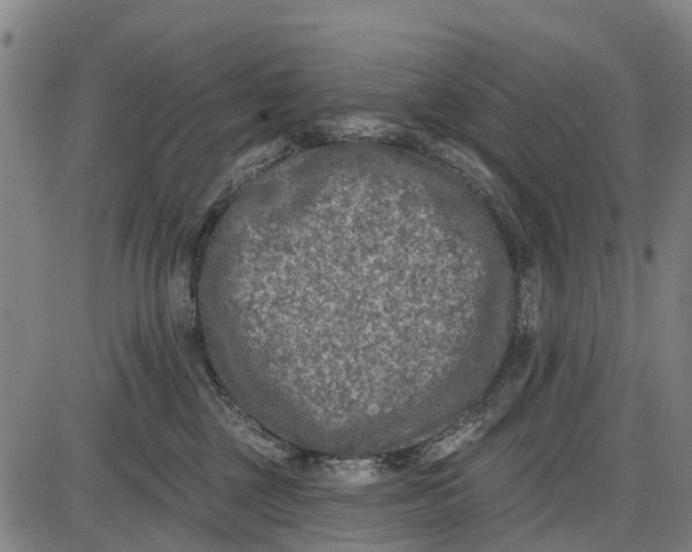 X0000085000377200703261135