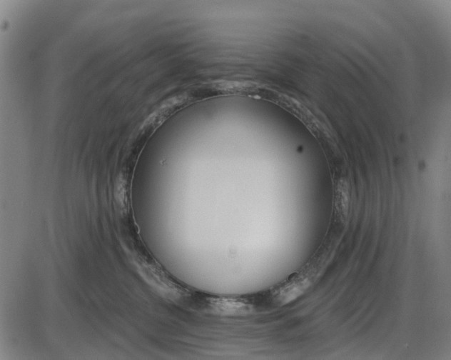 X0000085000380200703261135