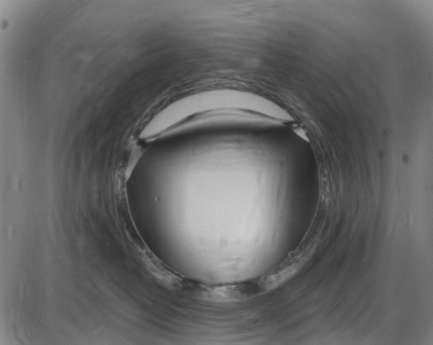 X0000085000382200703261135