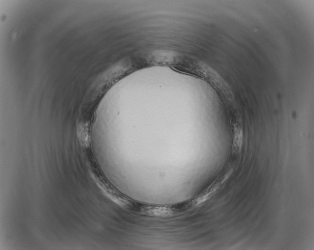 X0000085000383200703261135