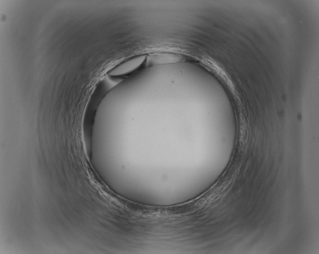 X0000085000385200703261134