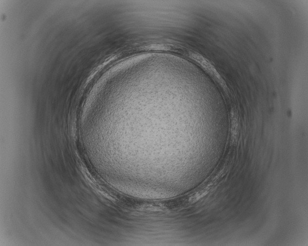 X0000085000386200703261134