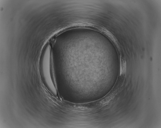 X0000085000387200703261134