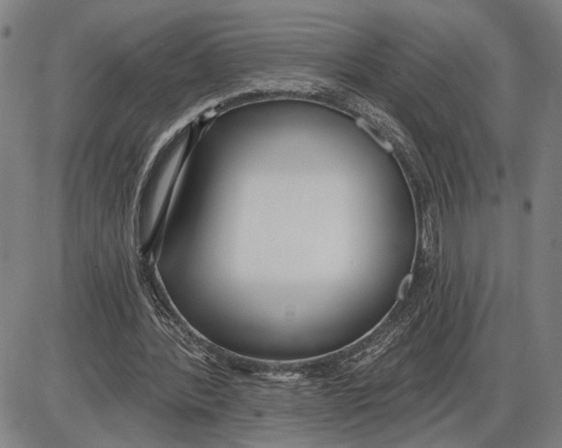 X0000085000388200703261134