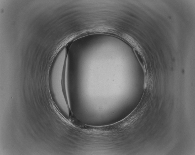 X0000085000389200703261134