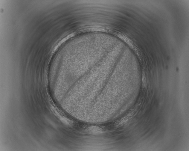 X0000085000390200703261134