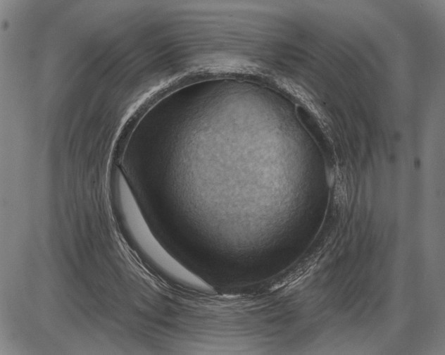 X0000085000391200703261134