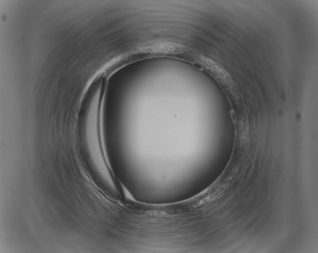 X0000085000392200703261134