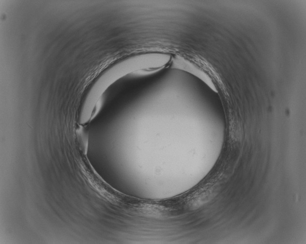 X0000085000393200703261134