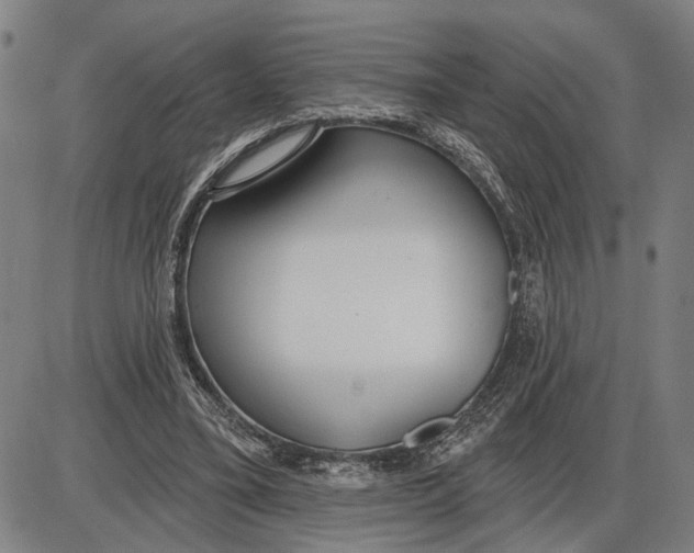 X0000085000395200703261134