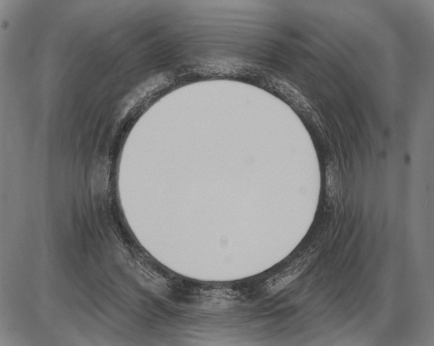 X0000085000396200703261134