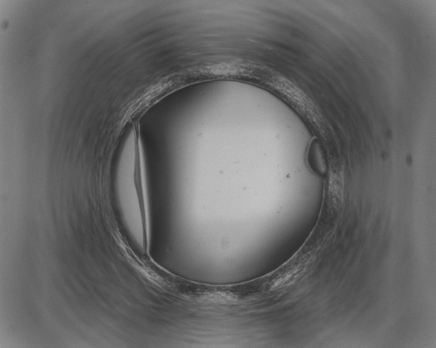 X0000085000397200703261134