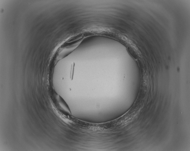 X0000085000399200703261134