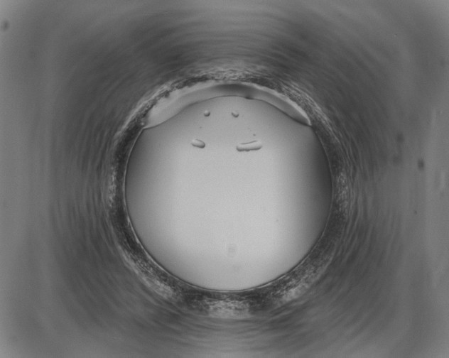 X0000085000400200703261134