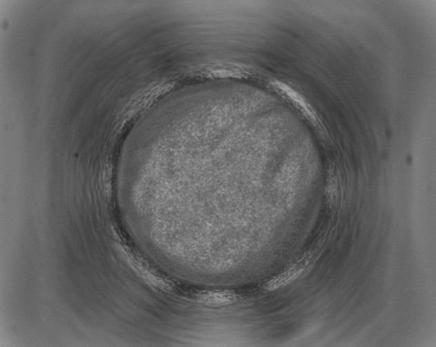 X0000085000402200703261134