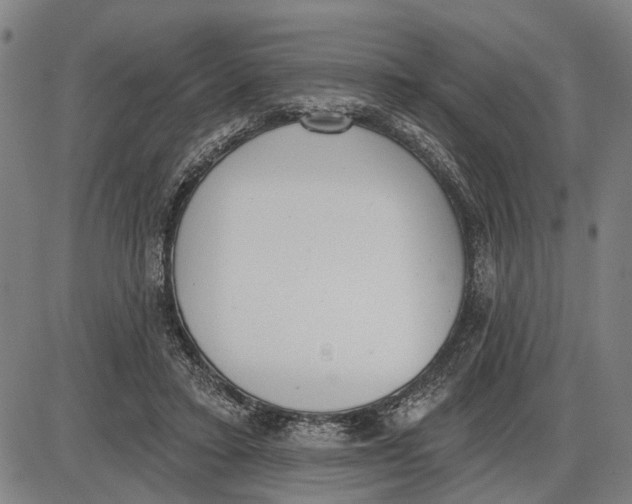 X0000085000403200703261134