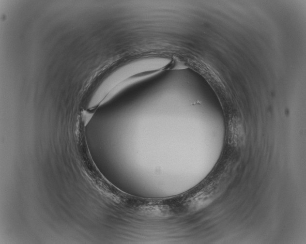 X0000085000404200703261134