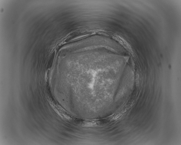 X0000085000405200703261134