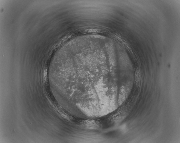 X0000085000406200703261134