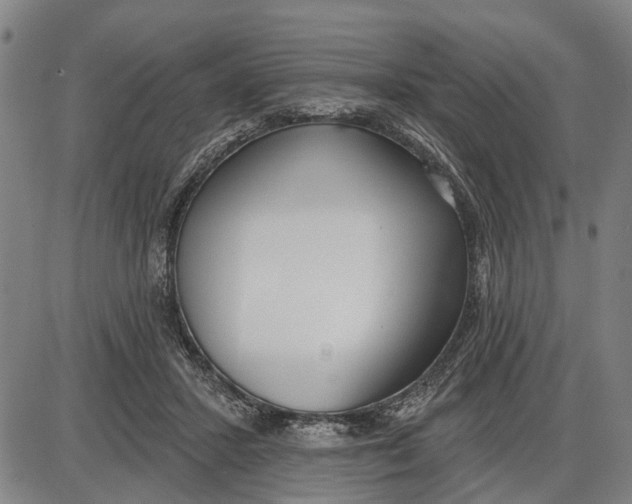 X0000085000407200703261134