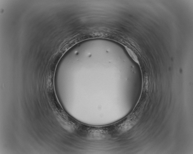 X0000085000408200703261134