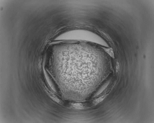 X0000085000409200703261134