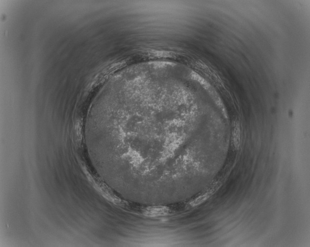 X0000085000410200703261134