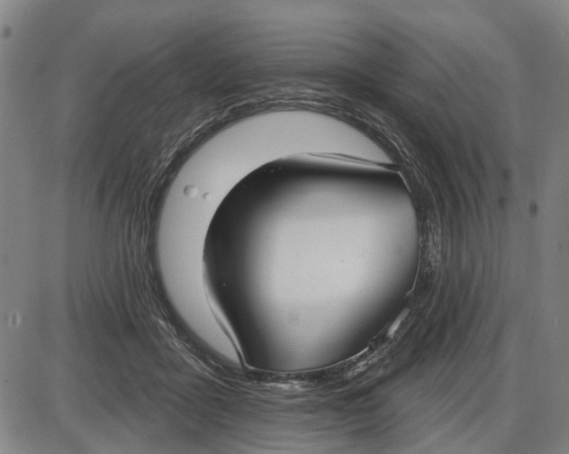 X0000085000411200703261134