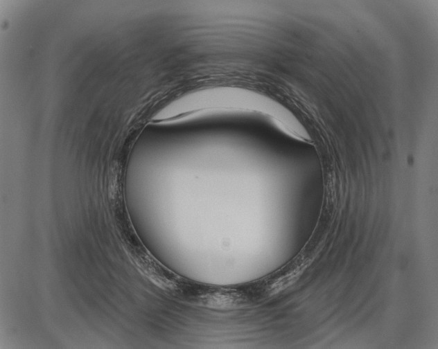 X0000085000412200703261134