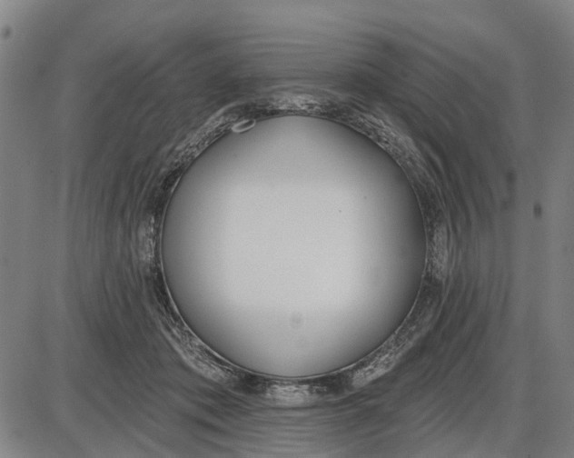 X0000085000413200703261134