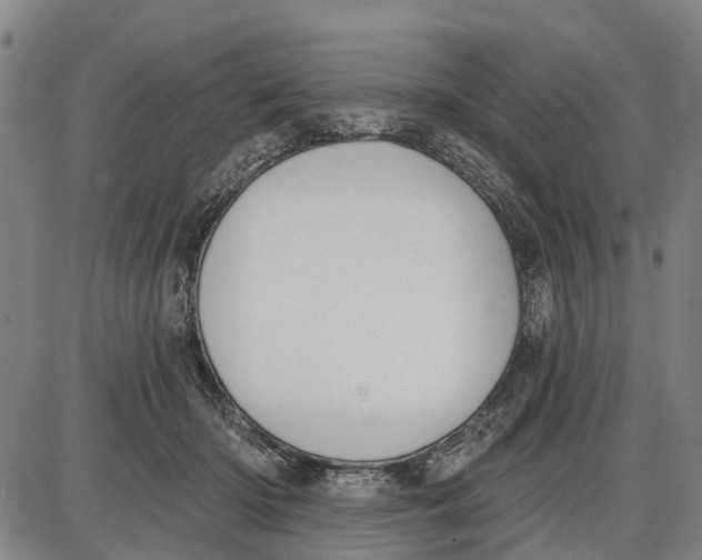 X0000085000414200703261134