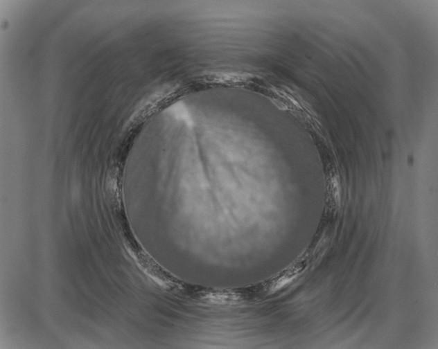 X0000085000415200703261134