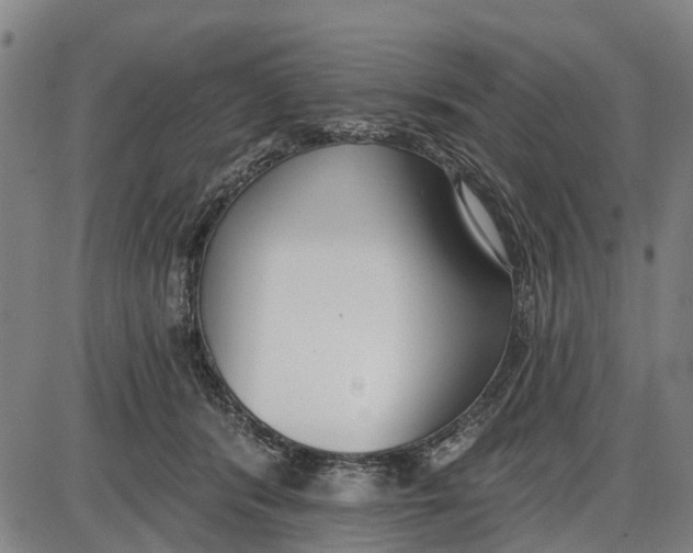 X0000085000416200703261134