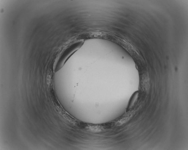 X0000085000417200703261134