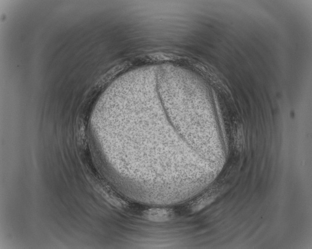 X0000085000418200703261134