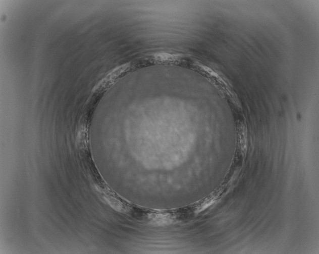 X0000085000419200703261134