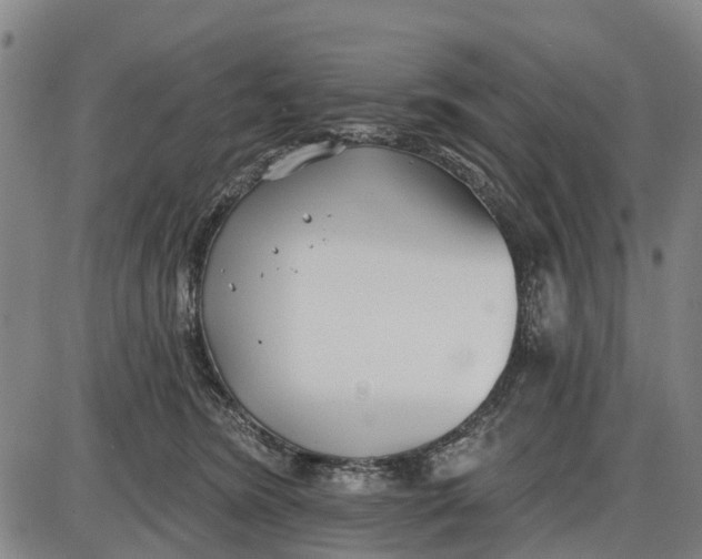 X0000085000420200703261134