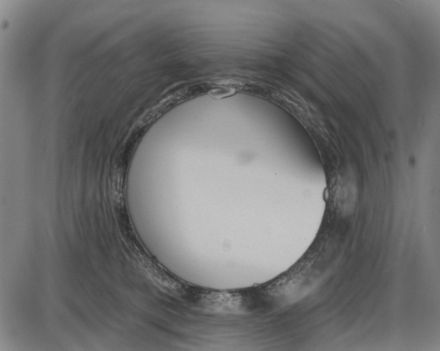 X0000085000421200703261134