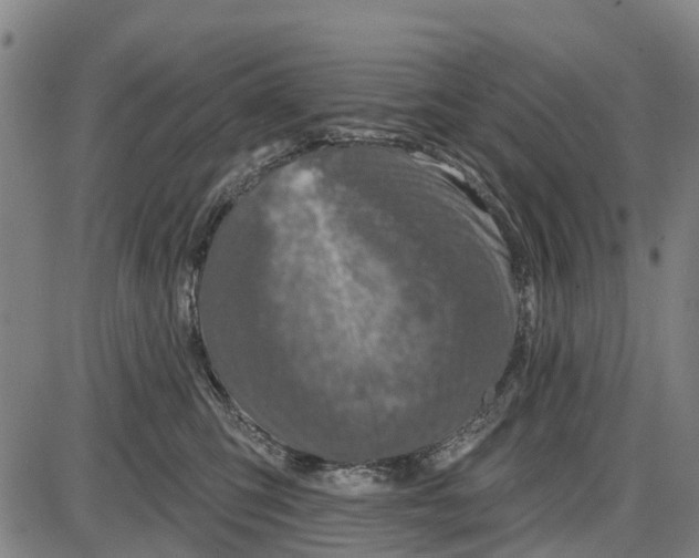 X0000085000423200703261134